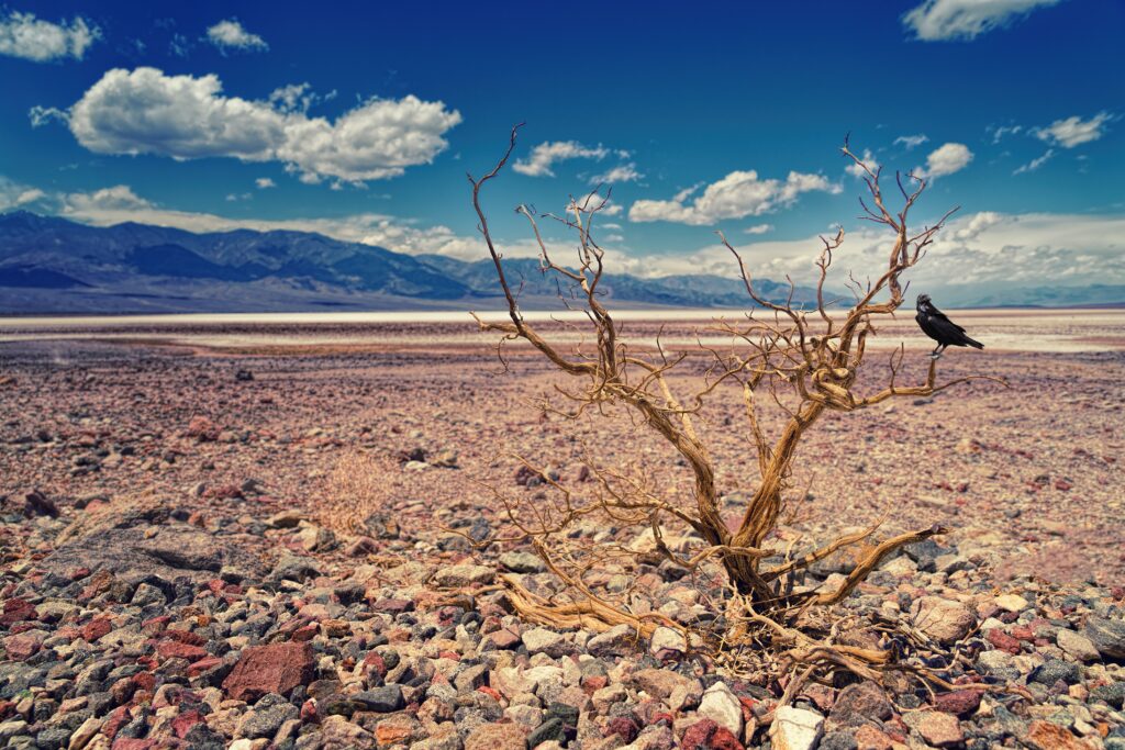 Death Valley
