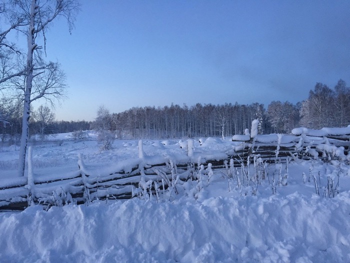 Snö i naturen.